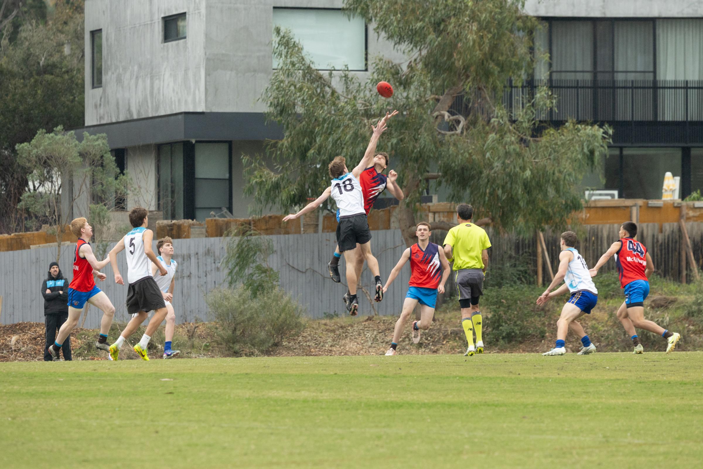 Banner Photo
