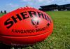 Football & Netball News Banner Photo