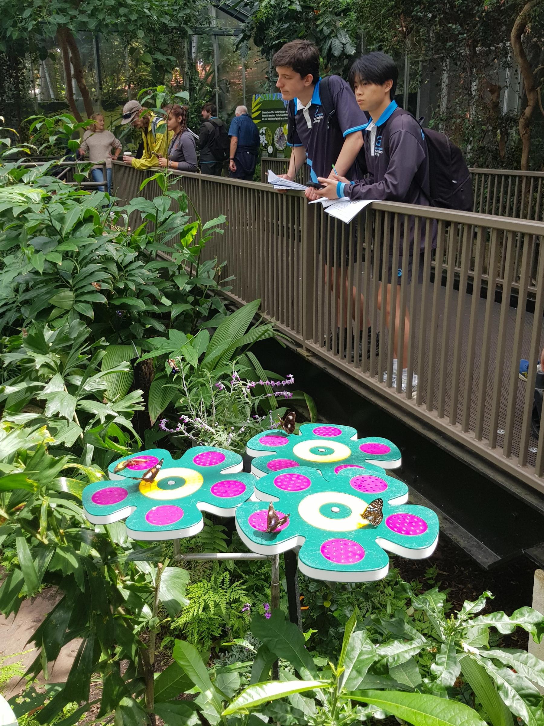 VCE Biology Banner Photo
