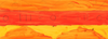 Visual Art Banner Photo