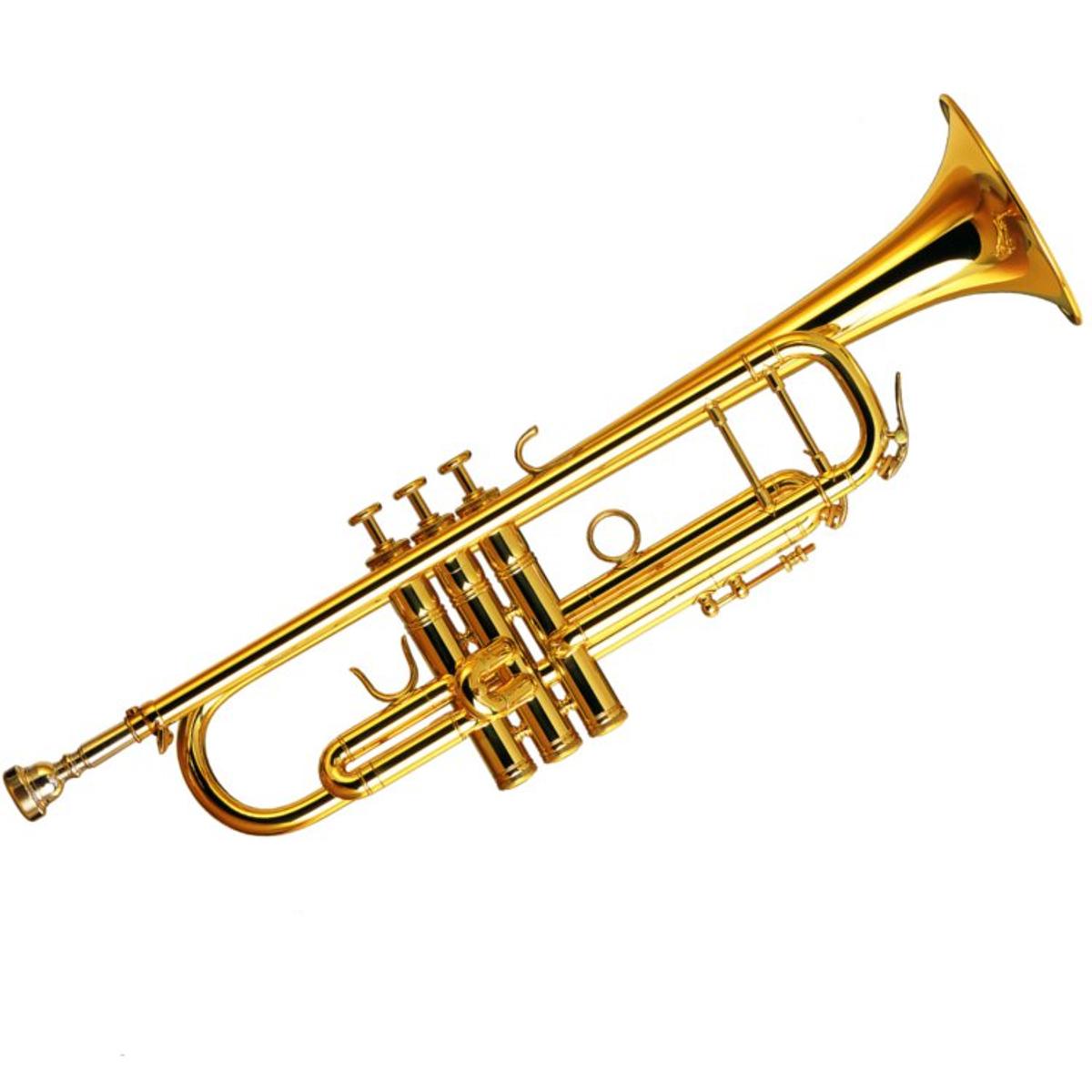 Cunt Trumpet