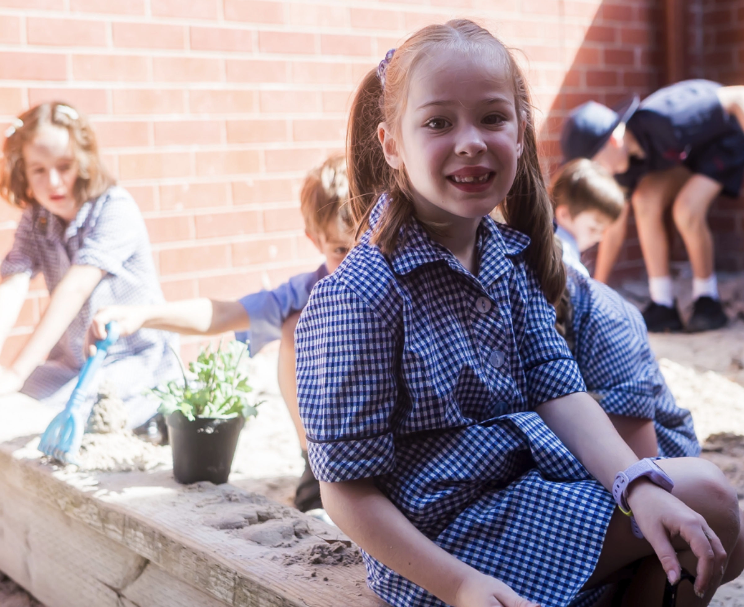 Wellbeing Banner Photo