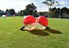 Year 8 Banner Photo