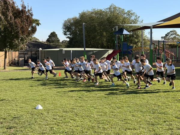 House Cross Country Banner Photo
