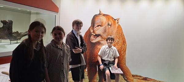 Languages Corner Banner Photo