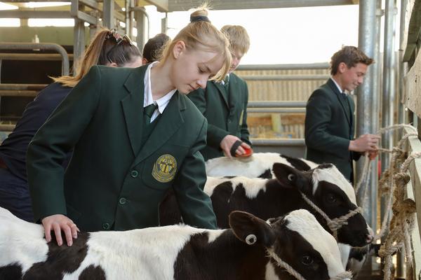 Careers and Pathways Banner Photo