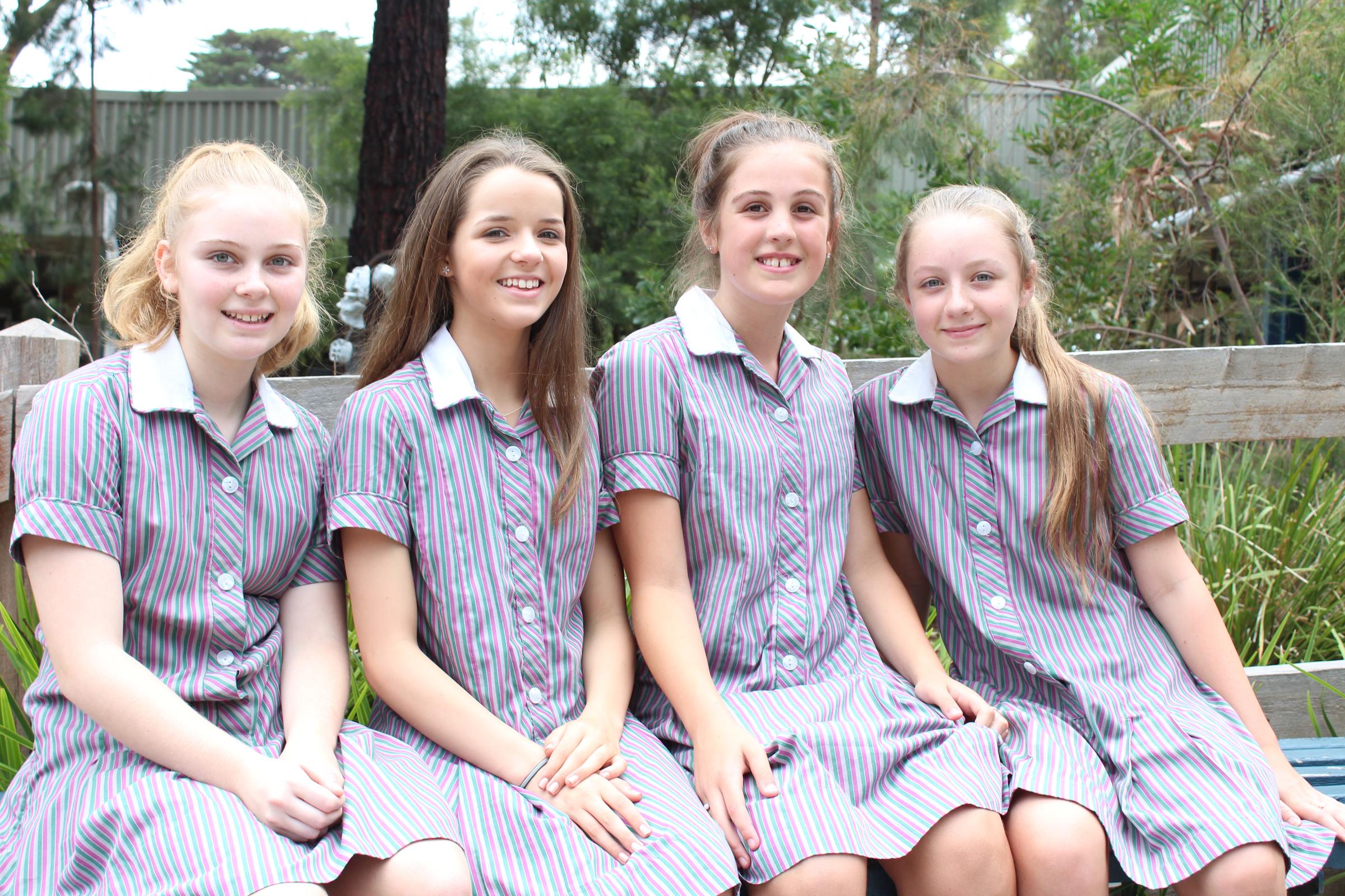 Banner Photo
