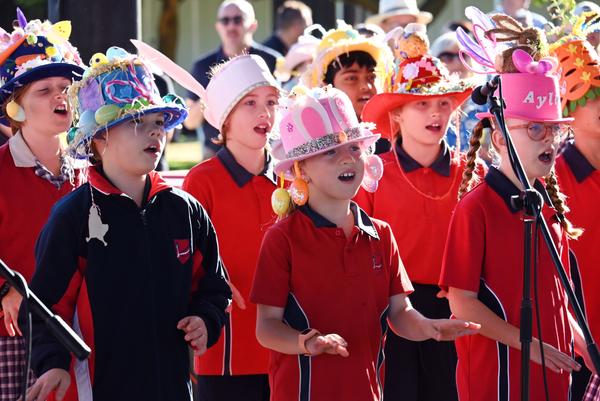 Primary School Banner Photo
