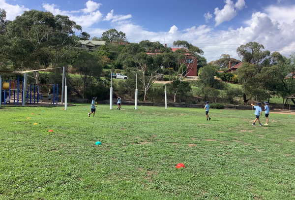 Health & PE Banner Photo