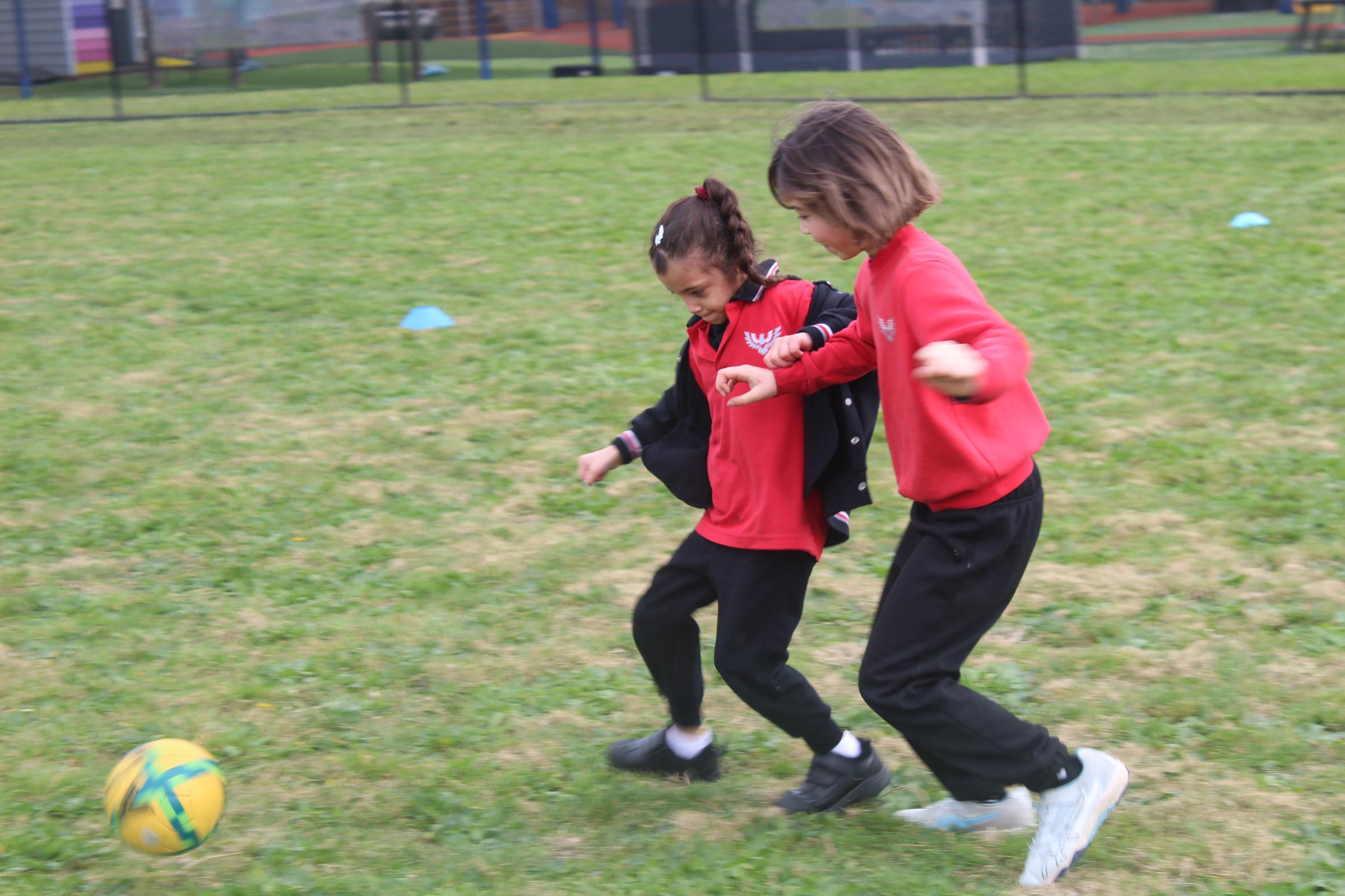 Term 3 Banner Photo