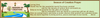 Current Page Banner Photo