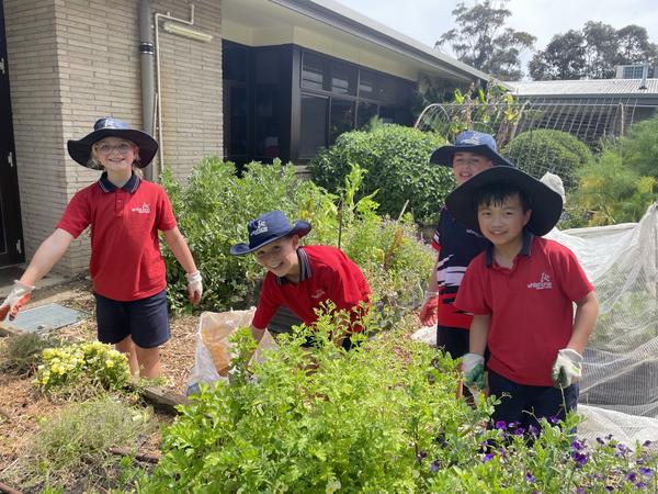 What's On In SAKG Banner Photo