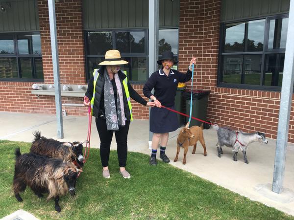 From the Deputy's Desk Banner Photo