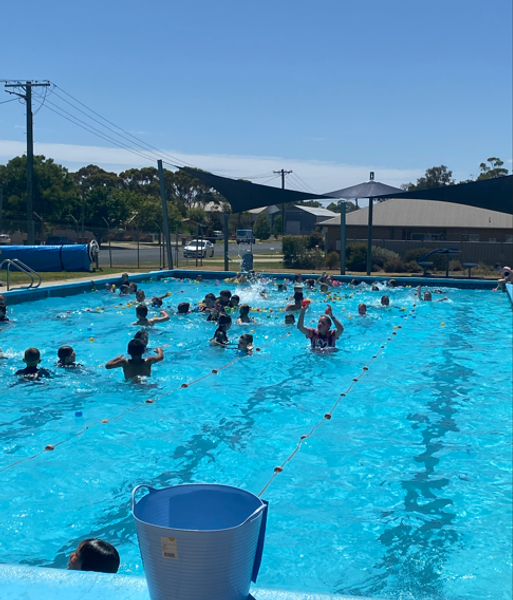 Grade 3-6 Swimming Carnival Banner Photo