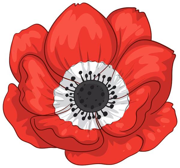 FoundationSpotlight on Learning Banner Photo