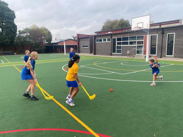 PE and Science Banner Photo