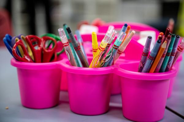 Literacy Lowdown Banner Photo