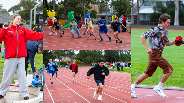 Interschool Sport Banner Photo