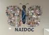 NAIDOC Week Banner Photo