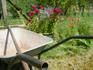 Working Bee Banner Photo