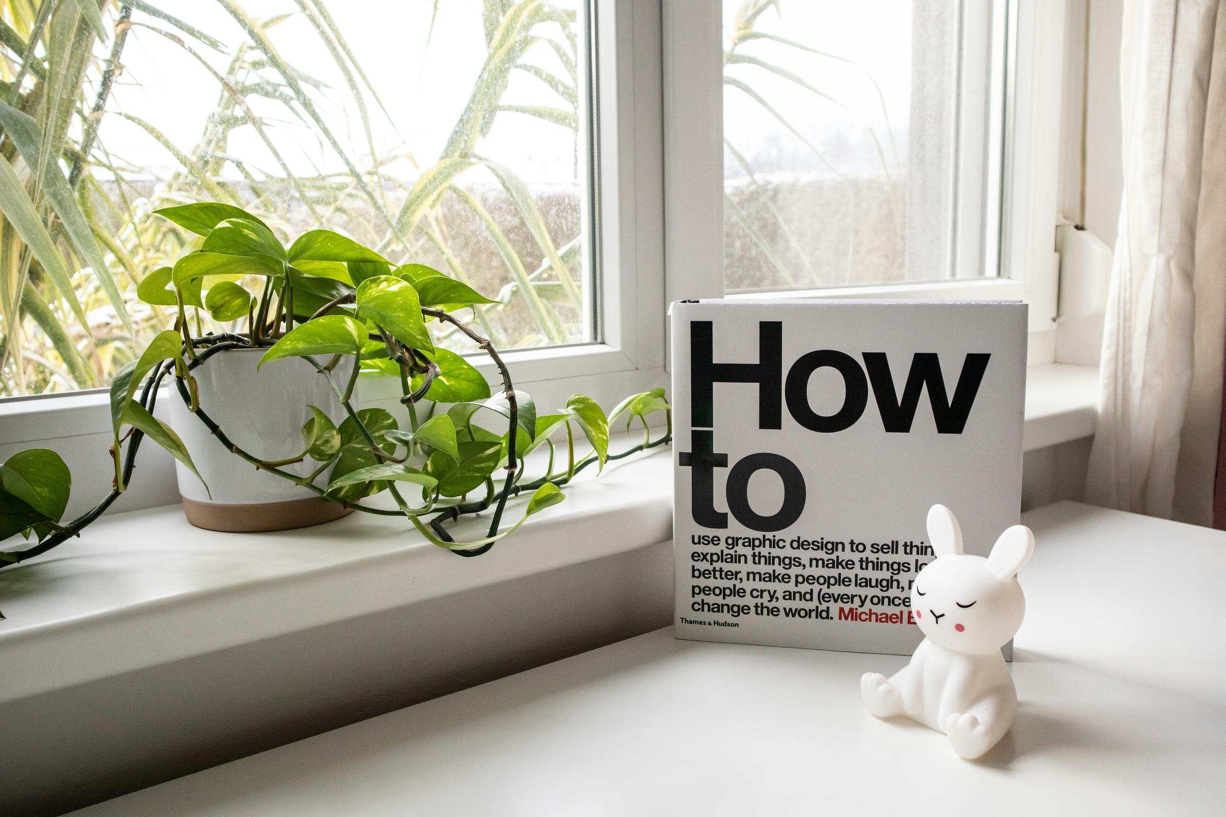 Useful Tips for Uni Banner Photo