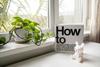 Useful Tips for Uni Banner Photo
