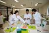 Year 12 Biology Banner Photo