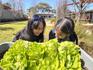 Learning and Teaching News Banner Photo