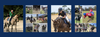 Ponies Of The Week featured by Pony Club Australia Banner Photo