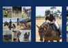 Ponies Of The Week featured by Pony Club Australia Banner Photo