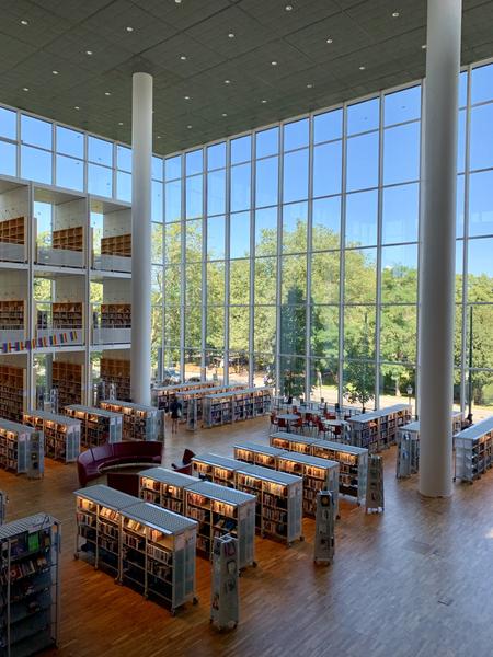 News from Federation University Banner Photo