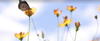 Principal News Banner Photo