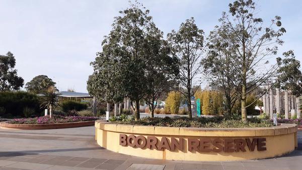 Year 2 Booran Reserve Excursion Banner Photo
