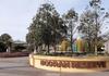 Year 2 Booran Reserve Excursion Banner Photo