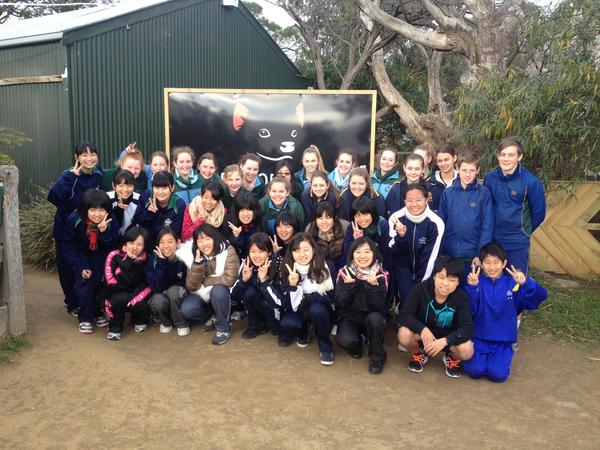 From the Classrooms - Japanese Banner Photo