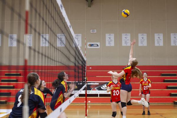 Girls Volleyball State Champions! Banner Photo