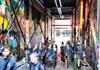 Year 9 Wellbeing Days Banner Photo