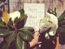 Mother's Day Breakfast Banner Photo