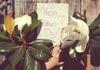 Mother's Day Breakfast Banner Photo