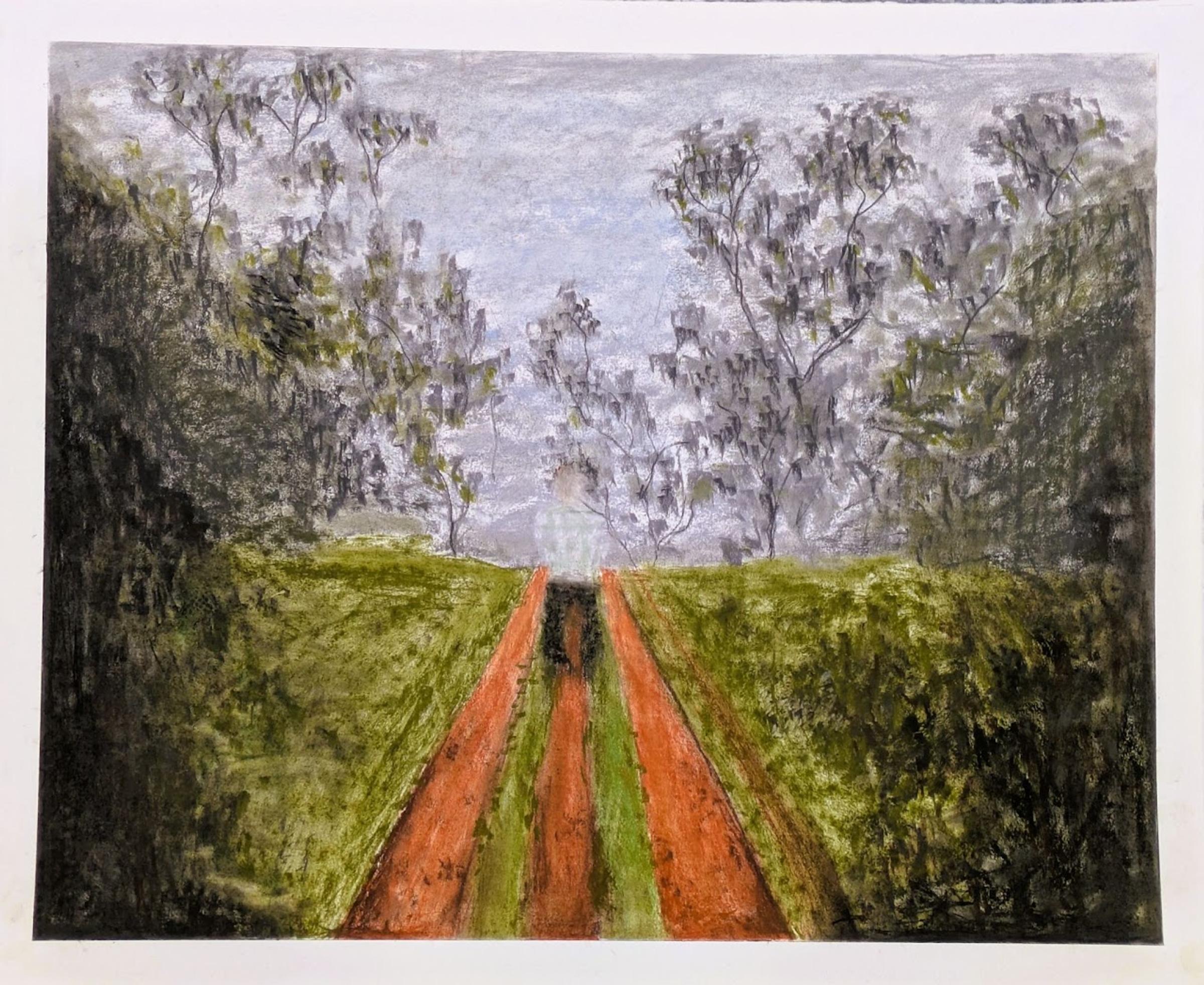 Year 11 Art Exhibition Banner Photo