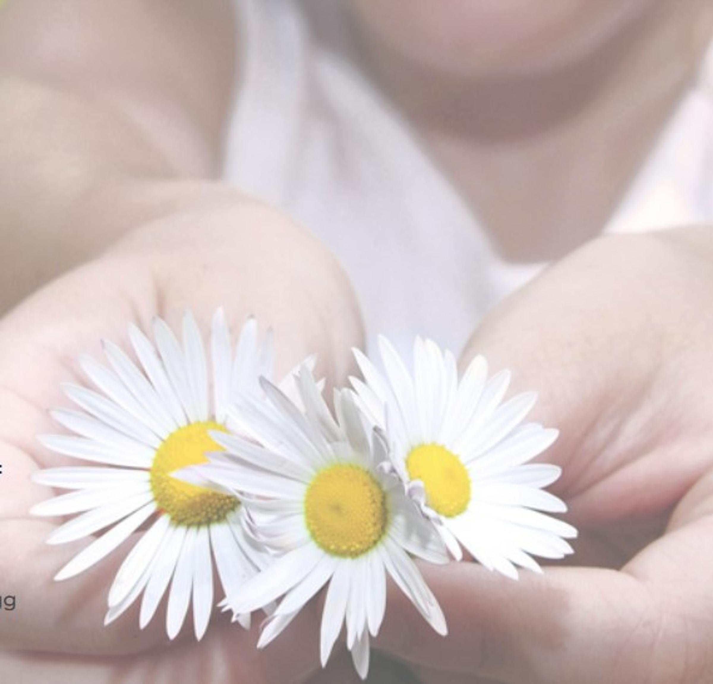 Wellbeing Supports Update Banner Photo