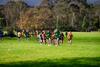 House Cross Country Banner Photo