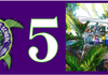 Page 0 Banner Photo