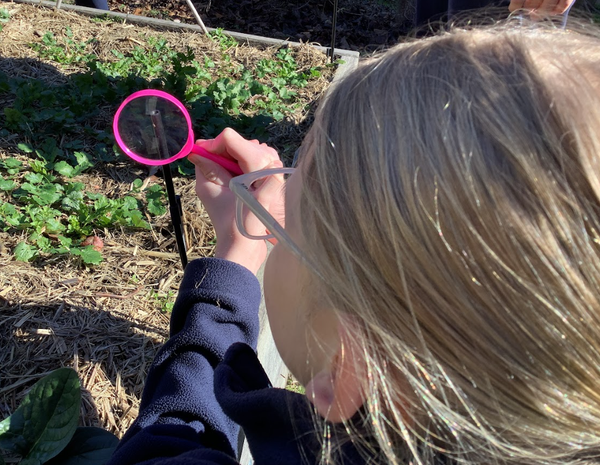 Science Banner Photo