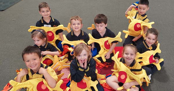 School Activities Banner Photo