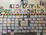 Respectful Relationships Education at CSPS Banner Photo