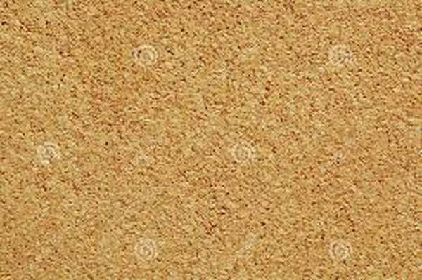 Noticeboard Banner Photo