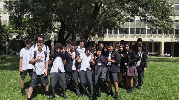 Languages Corner Banner Photo