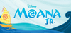 OLF School Musical 2027 Banner Photo