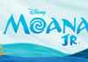 OLF School Musical 2027 Banner Photo